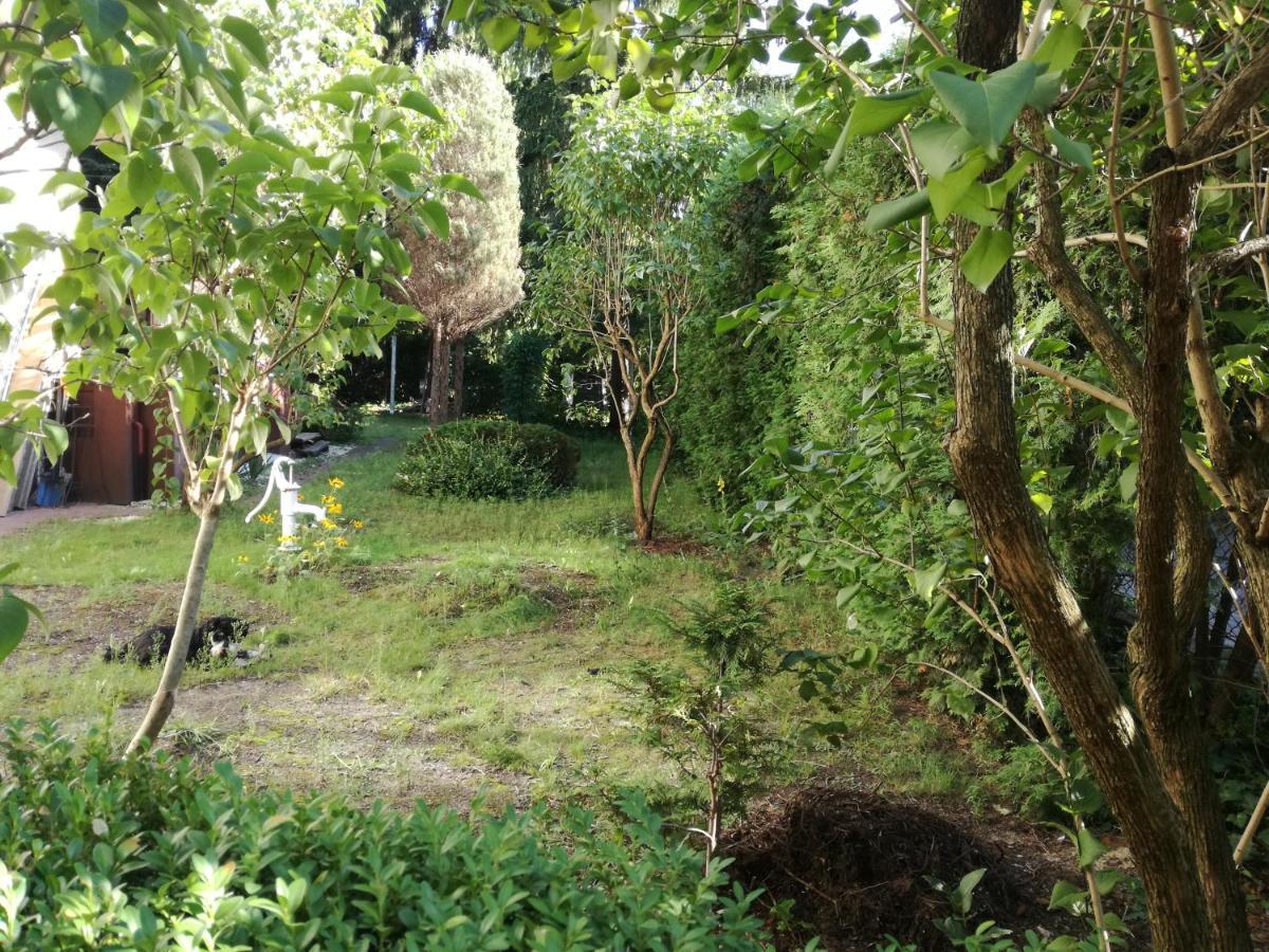 Holiday home Stary Dom