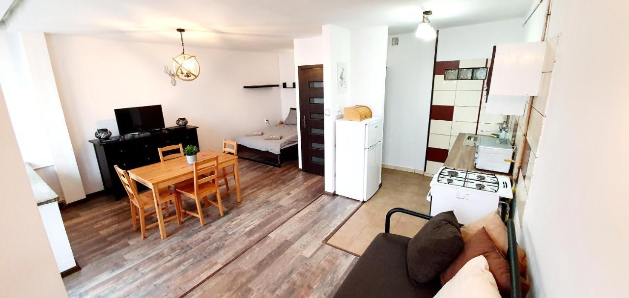 Fast Internet, 40m2studio, Balcony, Alejas.60a M84 Apartment