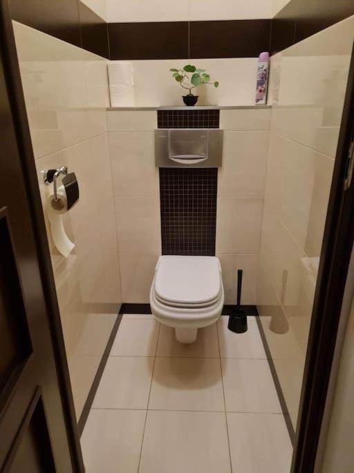 Apartament Stare Apartment