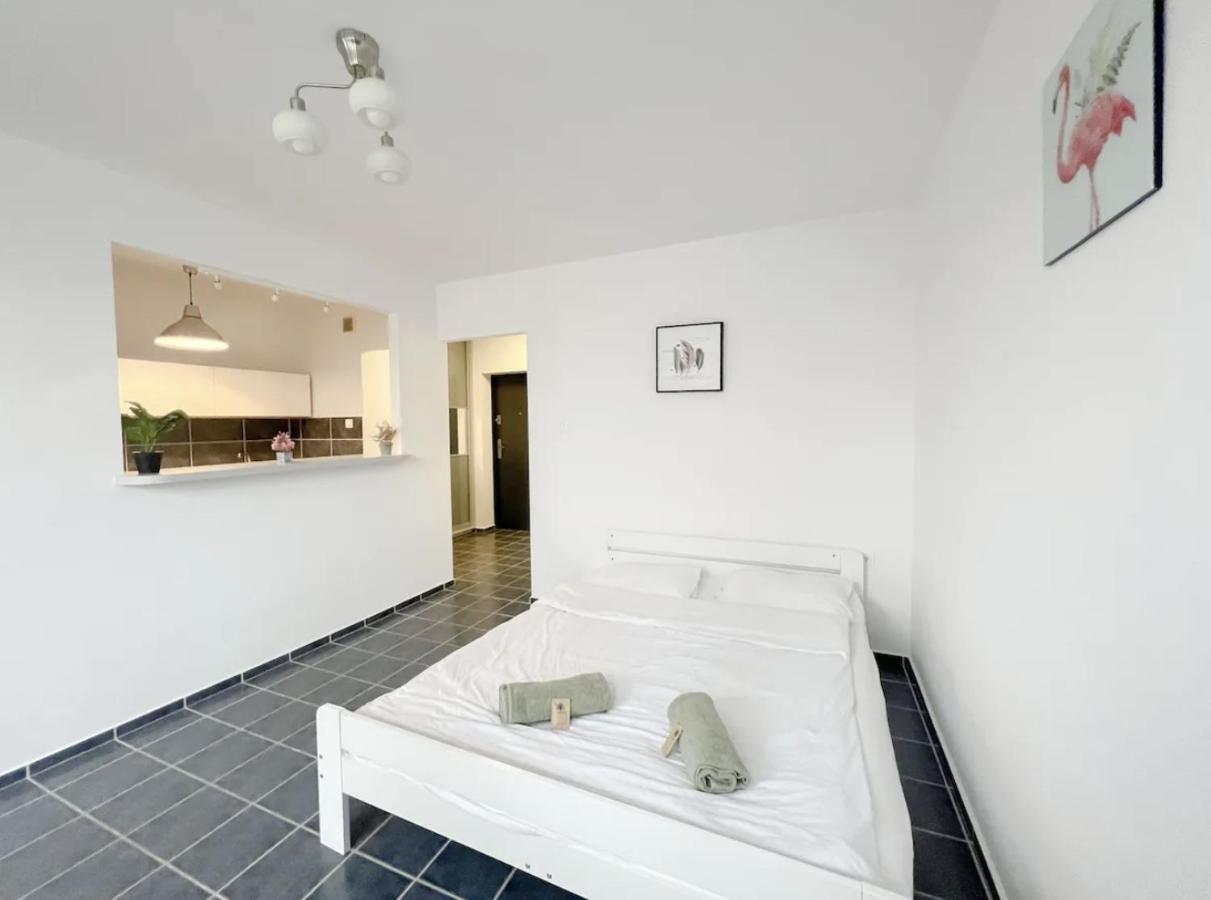 Cosy Flat Wifi Good Localisation Wolominska Apartment