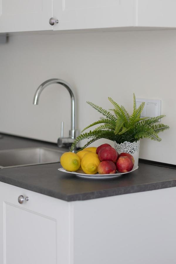 Modern Family With Parking By Renters Apartment