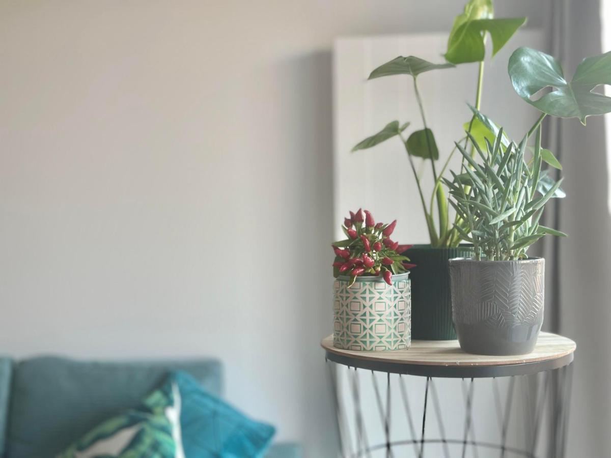 Apartament Cosy Okecie