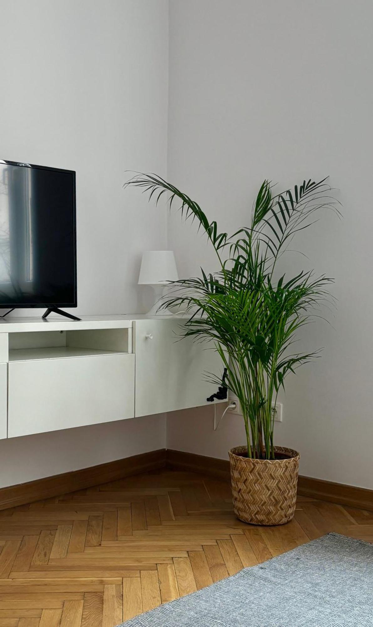 Apartamento K3
