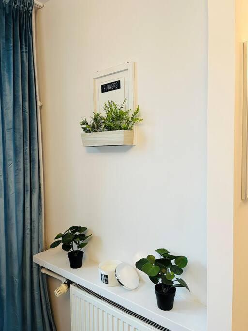 Apartment Z Panoramicznym Widokiem W Centrum