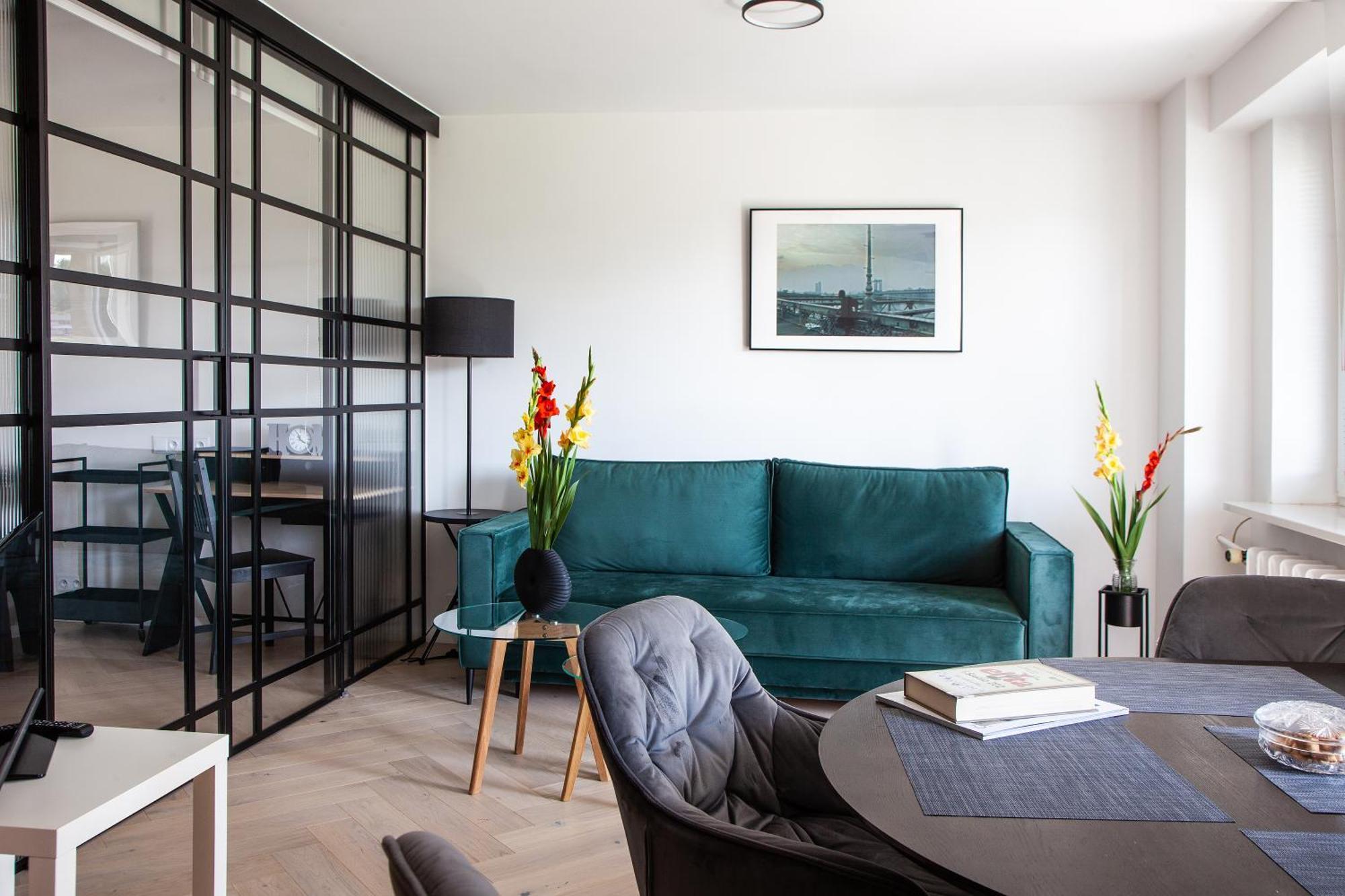 Apartment Luxurious, Spacious, Modern Gem. Great Location !