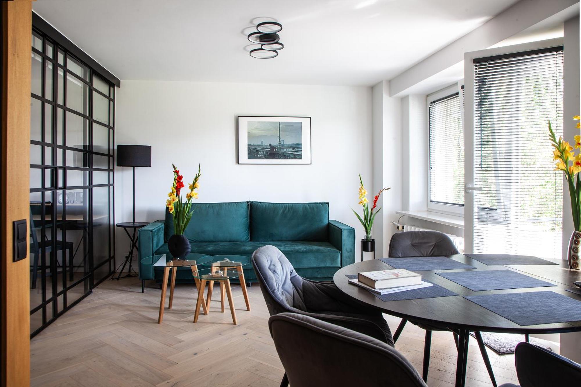 Apartment Luxurious, Spacious, Modern Gem. Great Location !