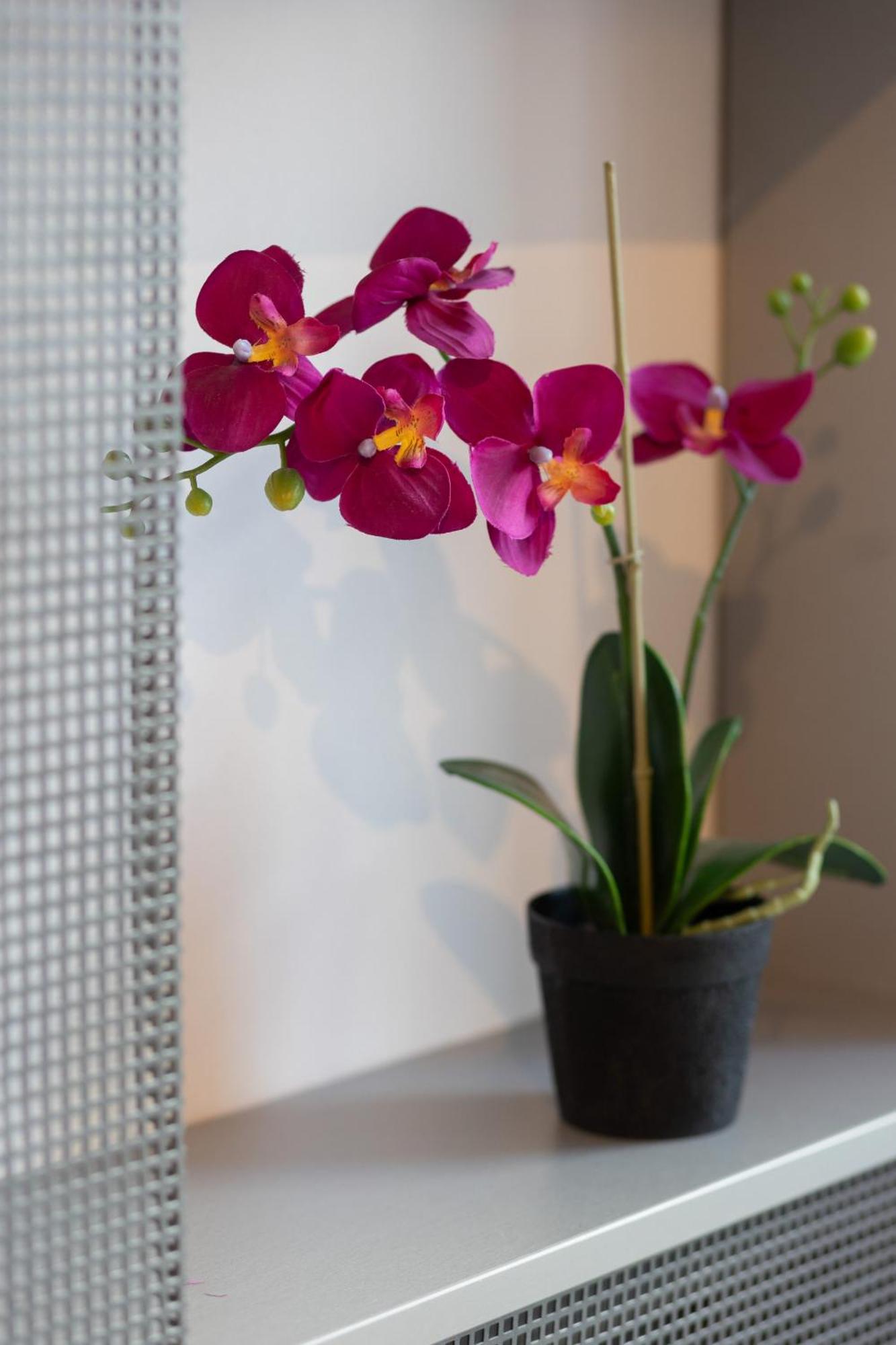 Comfort & Style Center By Renters Apartment Warsaw