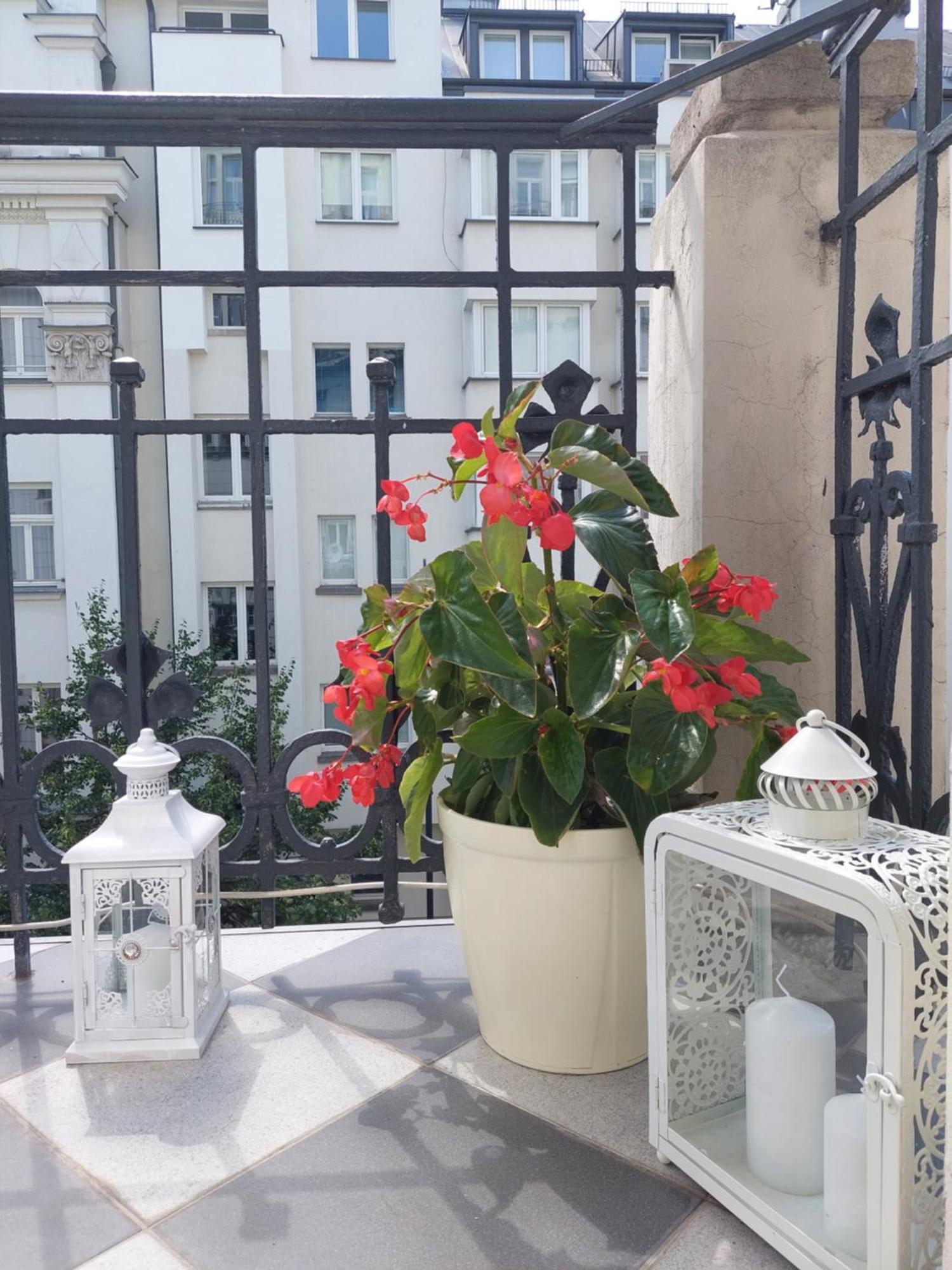 Apartment Green Apartament Hoza Centrum *