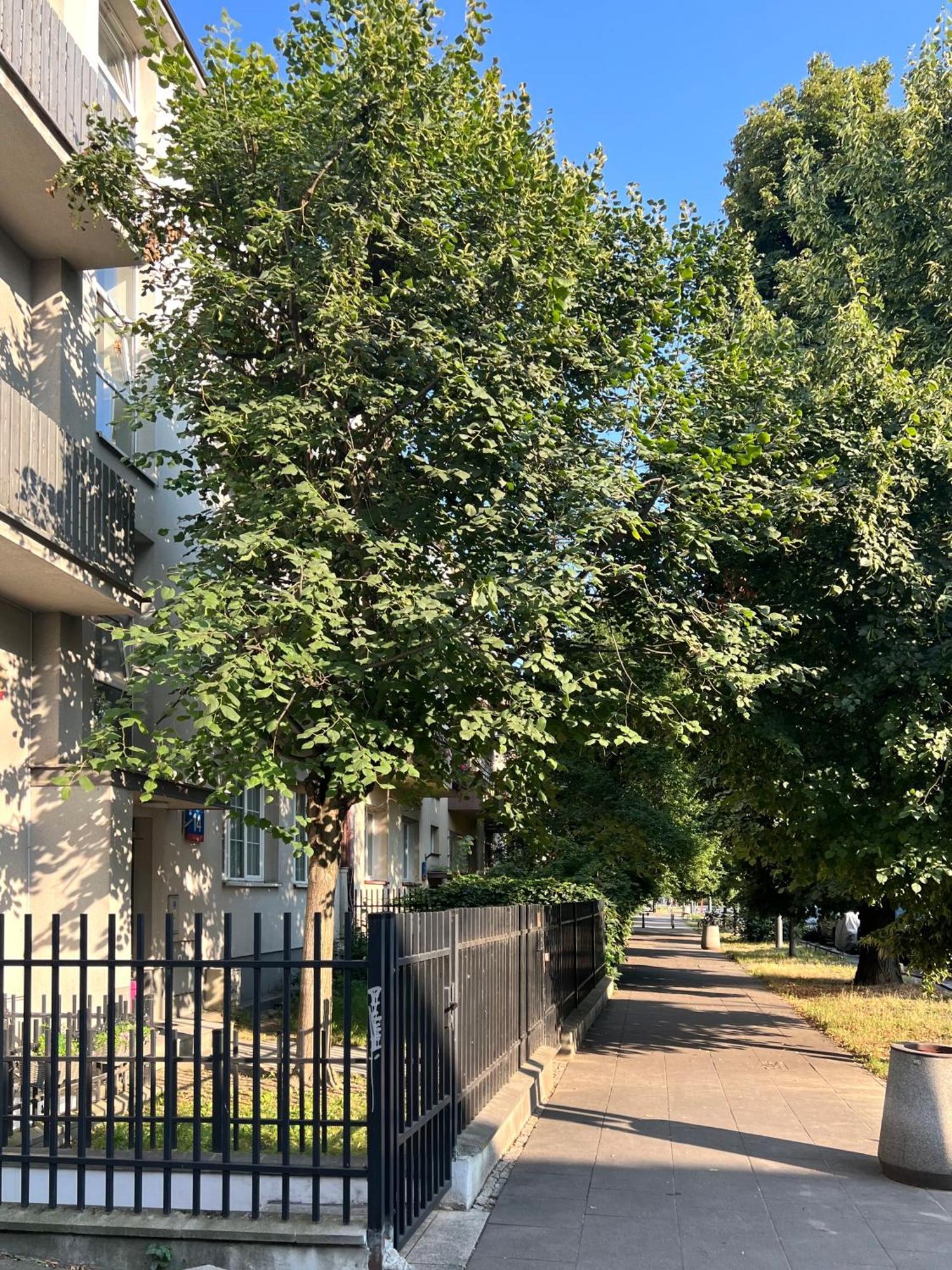 Apartament Mieszkanie Na Saskiej Kepie *