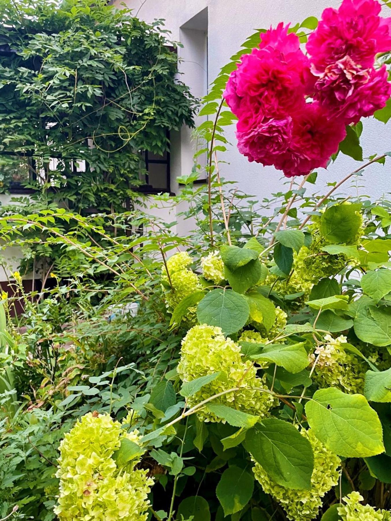 Garden Relax *