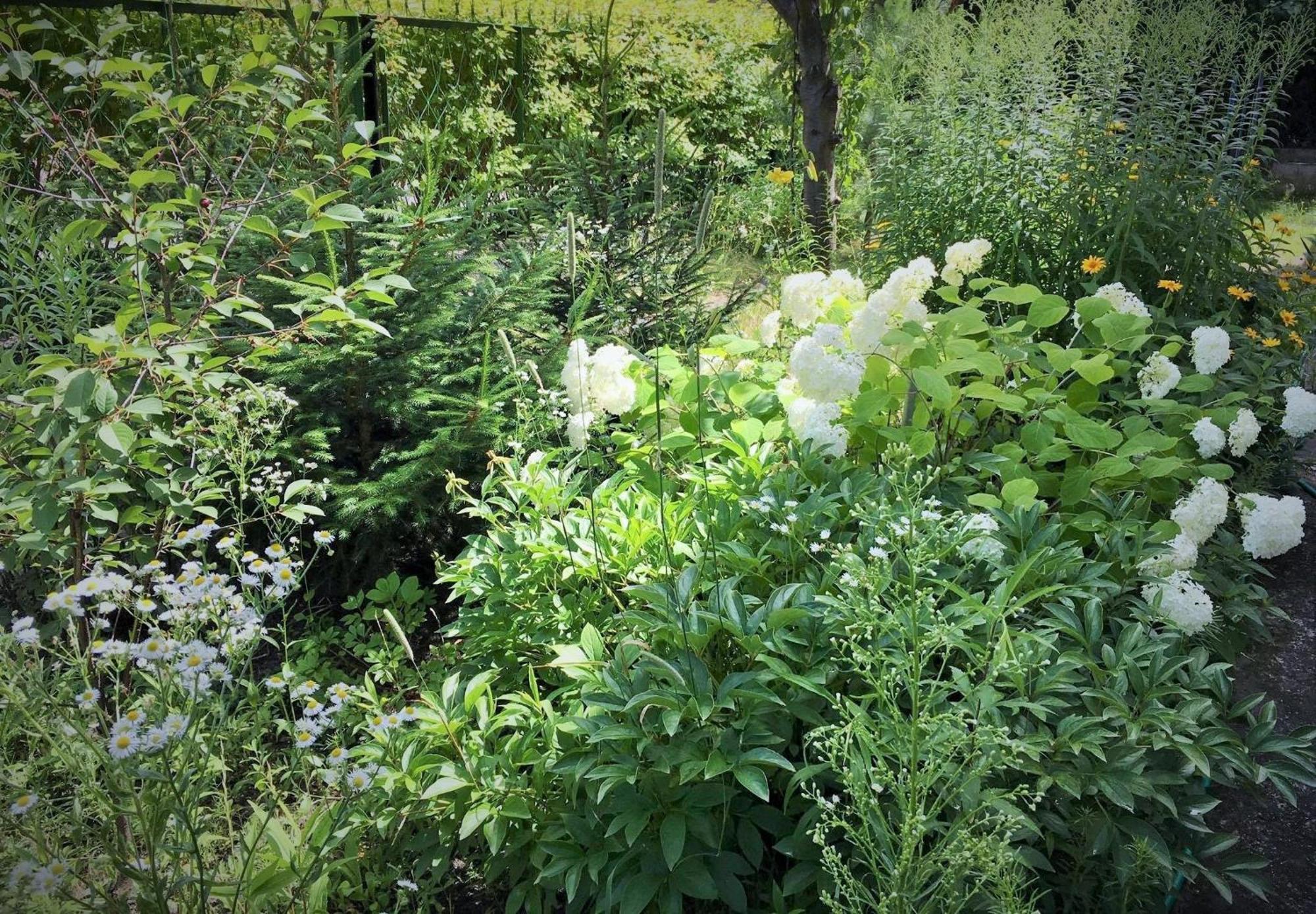 Apartment Garden Relax *