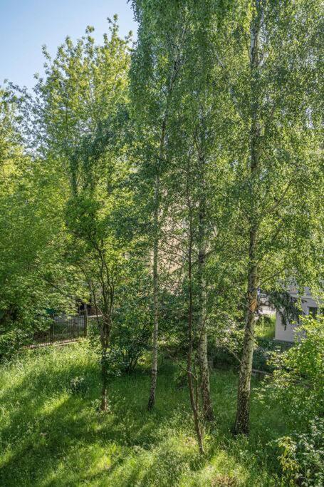 Rozana, Stary Mokotow Apartment *