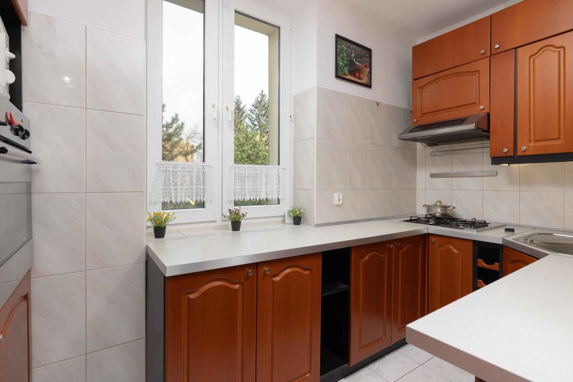 Spacious Astronaut's Wlochy By Renters *