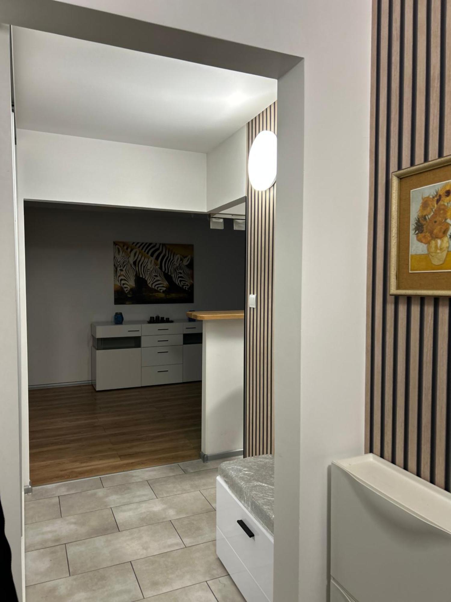 Wielunska Apartment