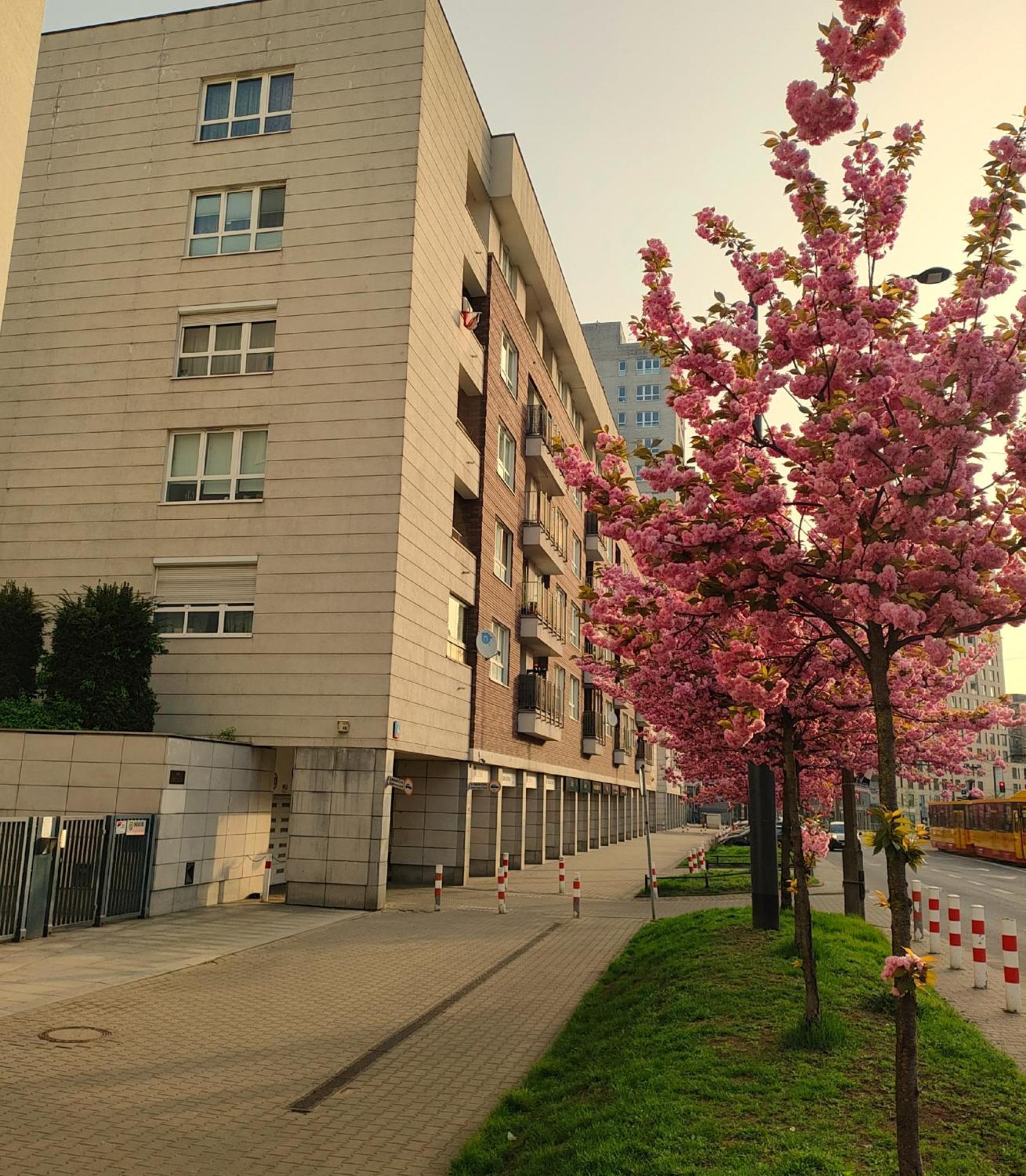 Totutotam Apartment