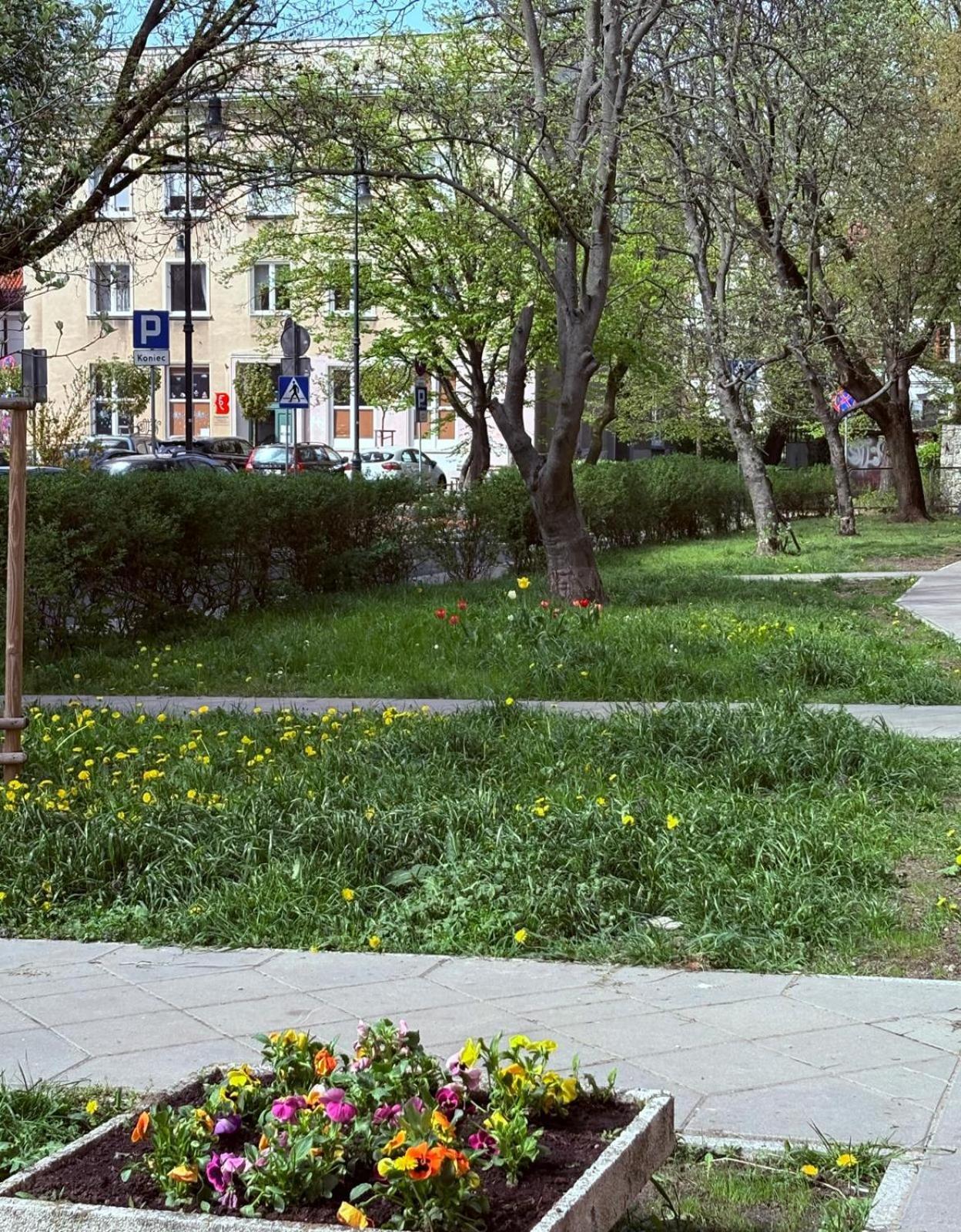 Na Zajaczka Căn hộ