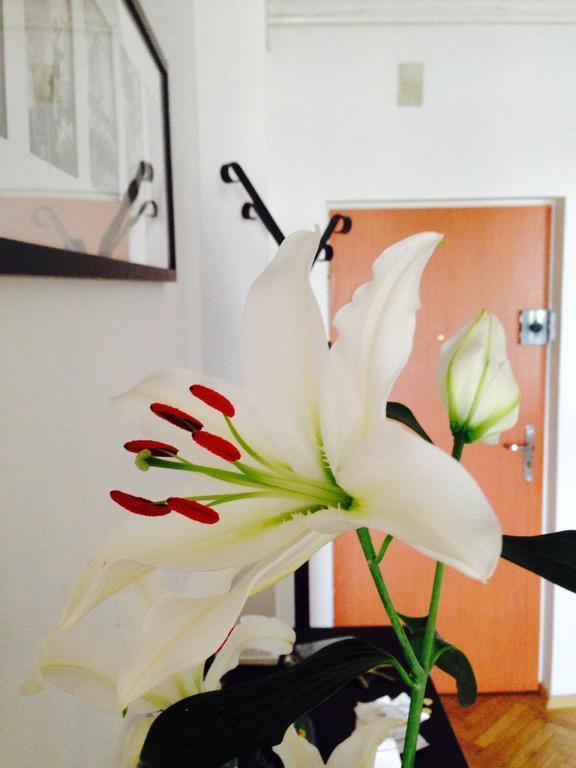 Bed & Breakfast Przystanek Mdm Bed&breakfast Warsaw