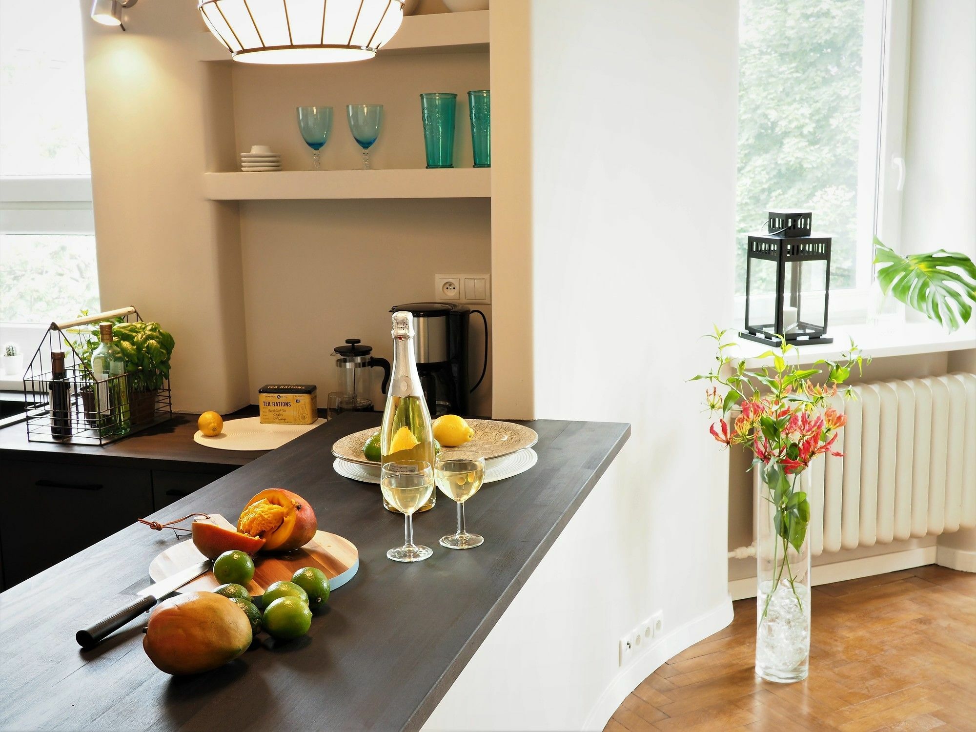 Apartment Classic In