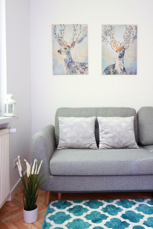 Chill & Explore By Cooee Apartamento *
