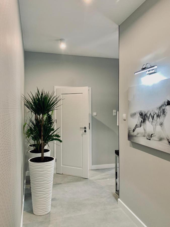 Zlota Luxury
